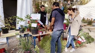 Une manifestation grand public comme SEVE, organisée au cœur de Montpellier (34), a permis d’engager des échanges de qualité et de mettre en avant les savoir-faire et les métiers.Le service des espaces verts offrait des boutures, l’occasion de faire découvrir les plantes et les bons soins à leur prodiguer. ©O. Maillard